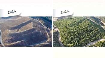 Maden sahası rehabilitasyonla yeşerdi