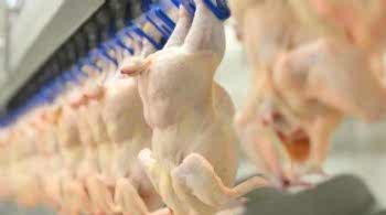 Ticaret Bakanlığı kanatlı eti ihracatını durdurdu